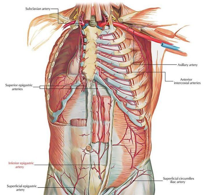 General surgery - MEDizzy