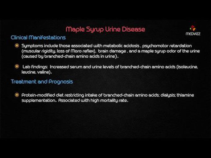 Maple syrup urine disease (MUSD) amino acid metabolism