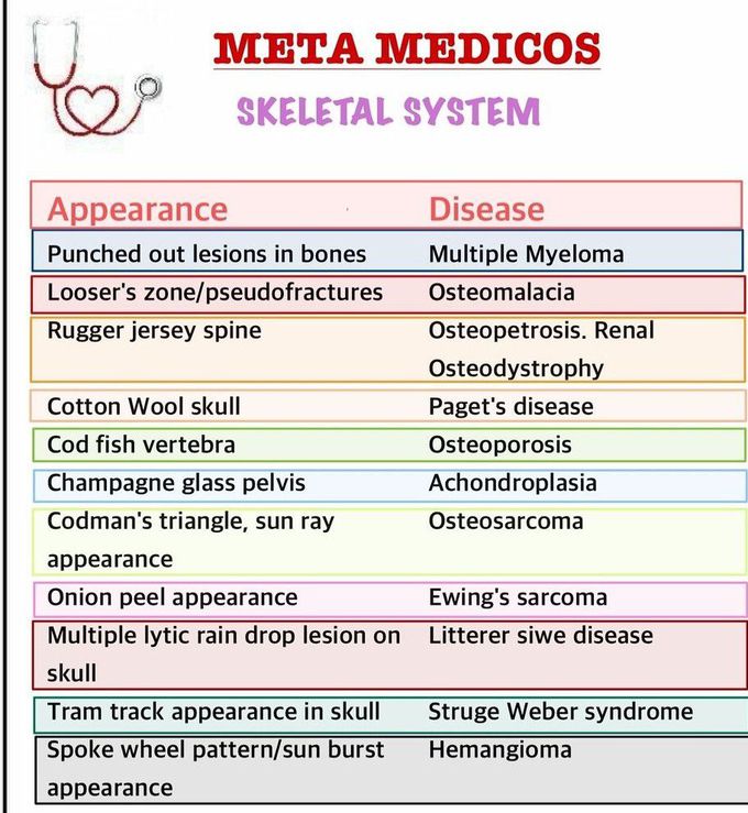 Skeletal System Pointers