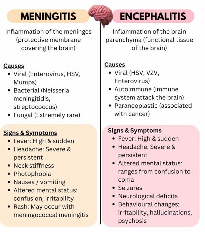 Meningitis Vs Encephalitis