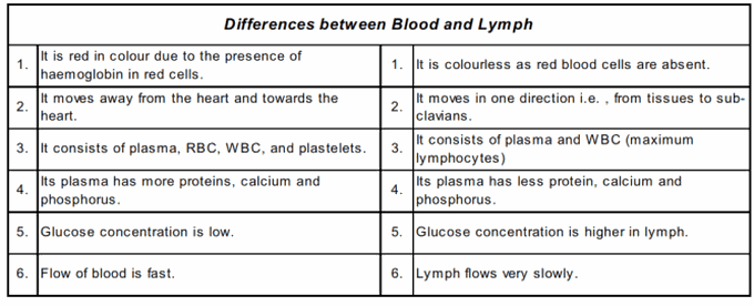 Blood vs Lymph