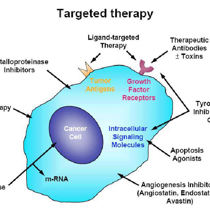 Targeted drug therapy