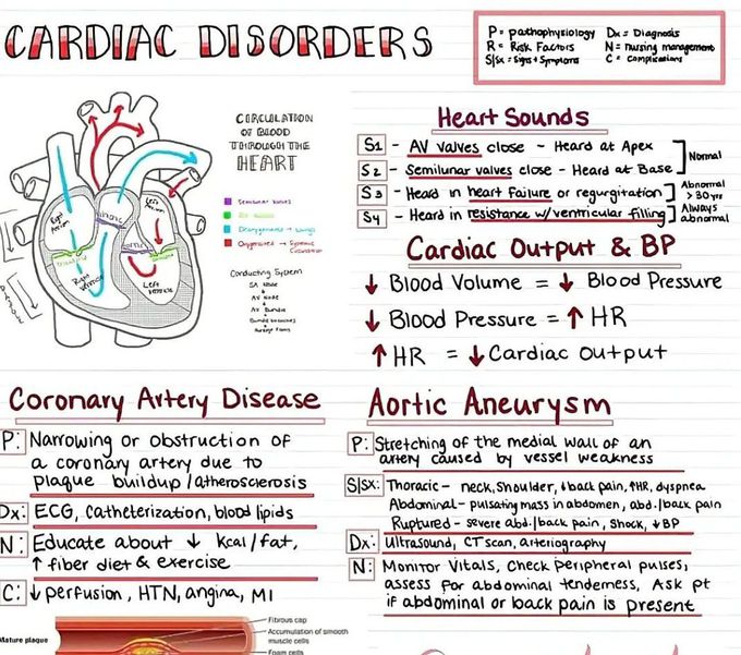 Cardiac Disorders