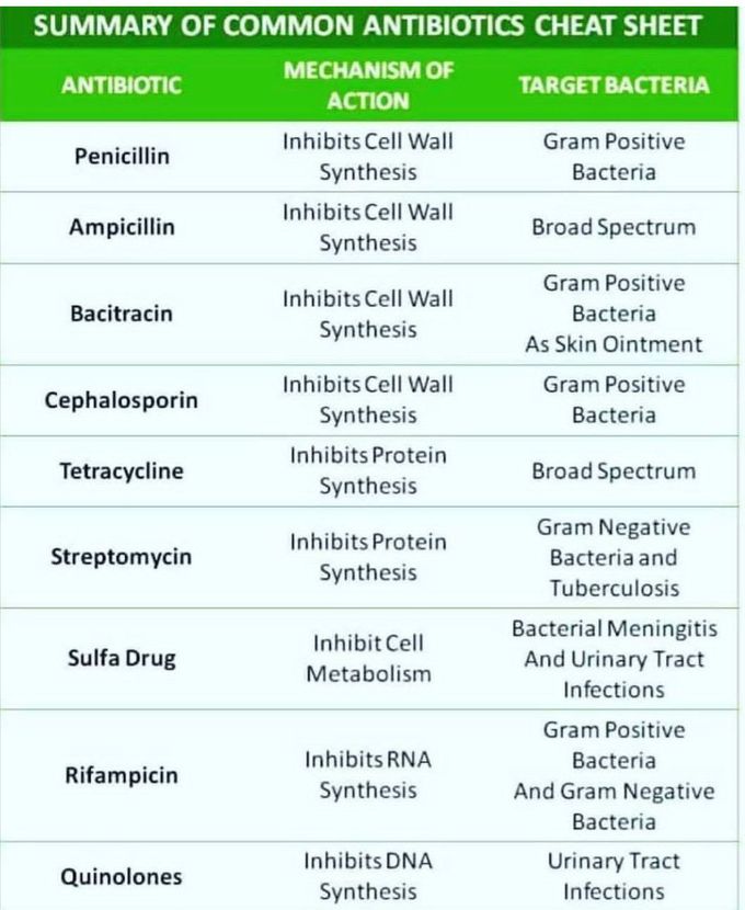 Antibiotics Cheat Sheet