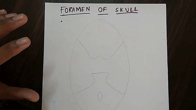 SKULL FORAMEN , part-1/5