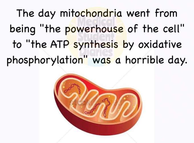 Medical meme