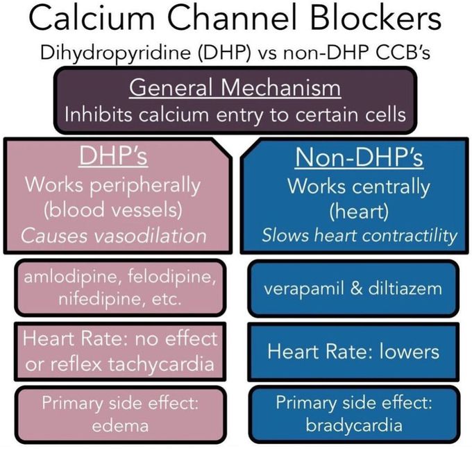 Calcium channel blockers