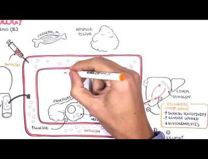 Medication for diabetes