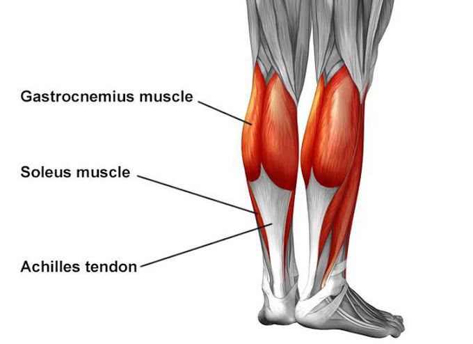 Where is the achilles tendon?