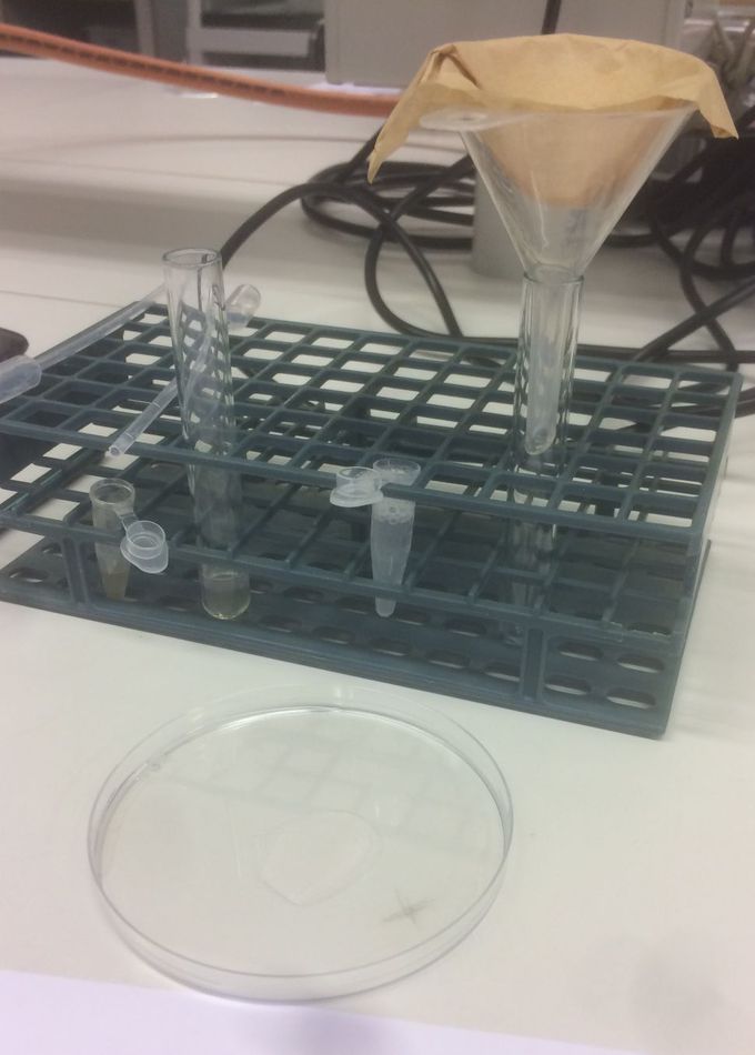 Concentrating my DNA
