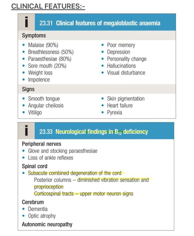 Megaloblastic Anemia III