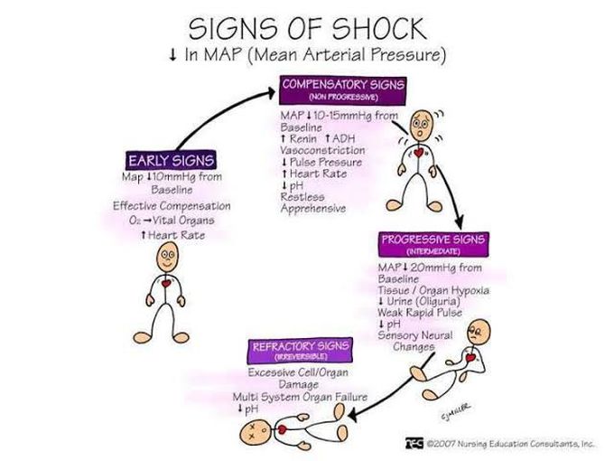 medical shock symptoms