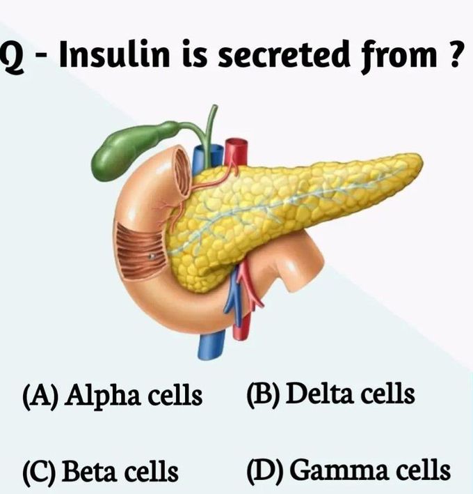 Insulin