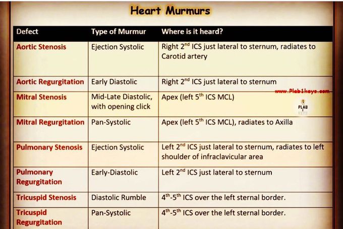 Heart Murmurs