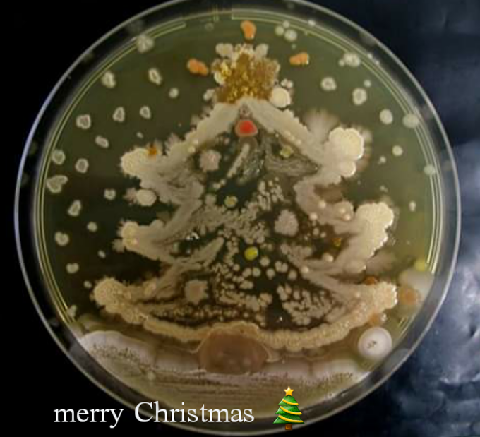 Merry Christmas medical world 🎄
