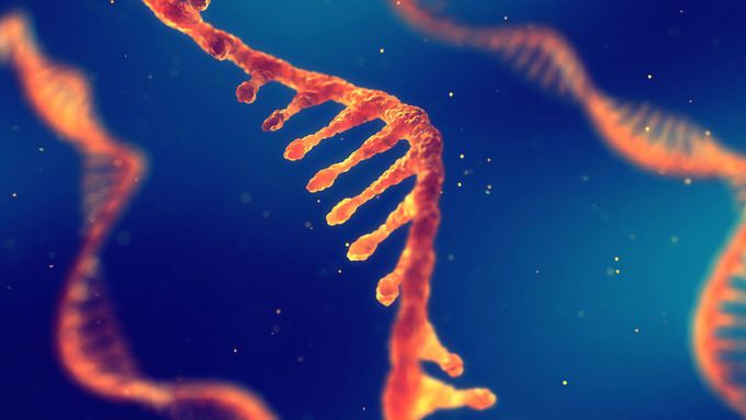 Sugars spice up RNA