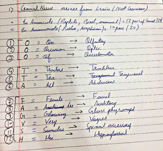 Easy way to learn cranial nerve of PNS