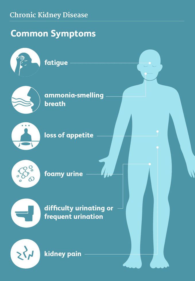 Chronic kidney disease - MEDizzy