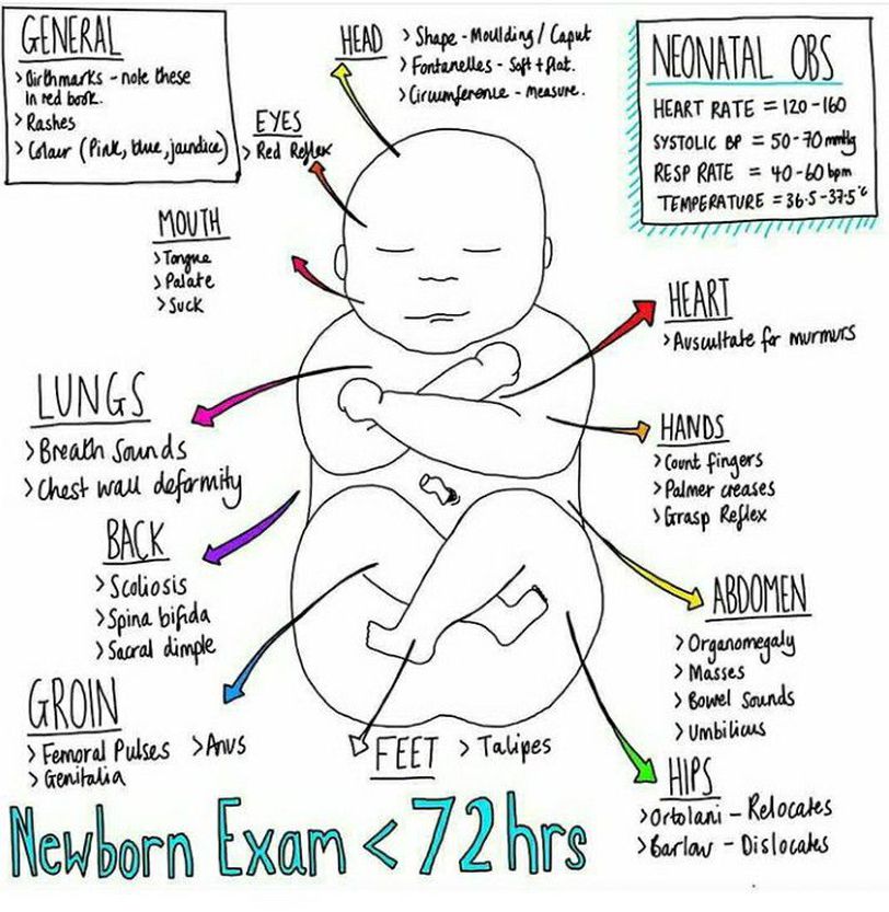 Neonatal Examination Medizzy