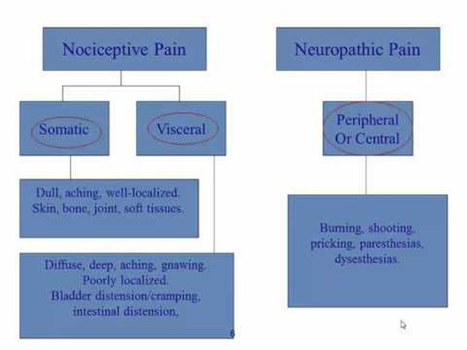 Types of Pain