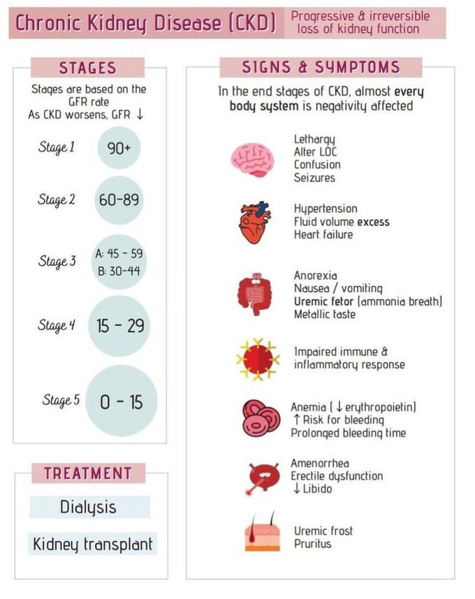 Chronic Kidney Disease 