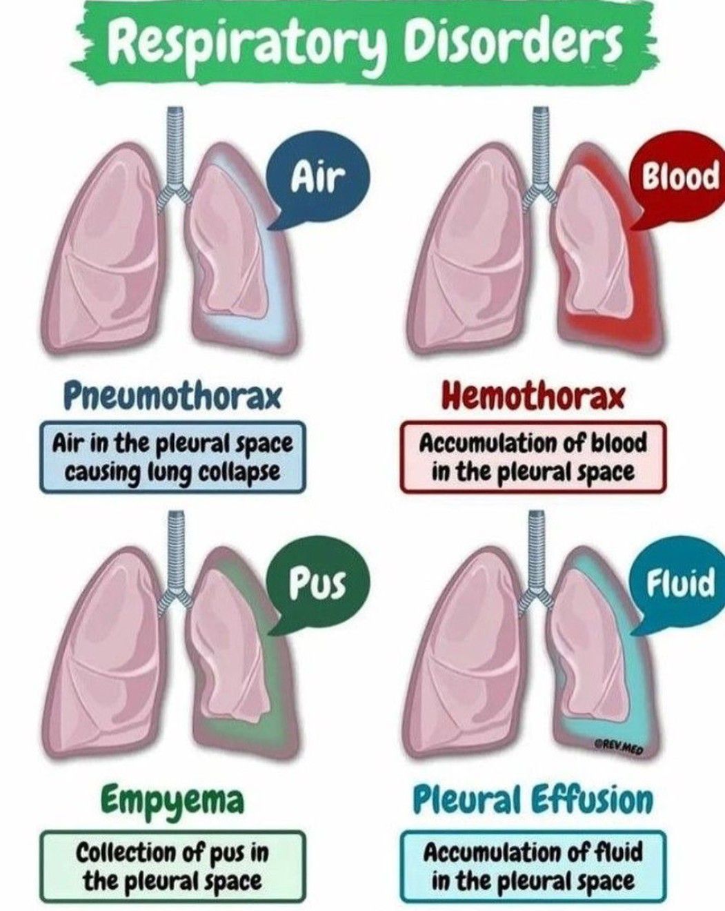 Respiratory Pathology - MEDizzy