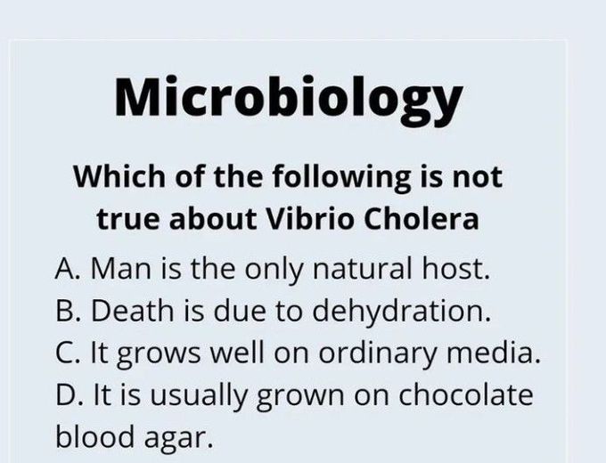 Vibrio Cholera