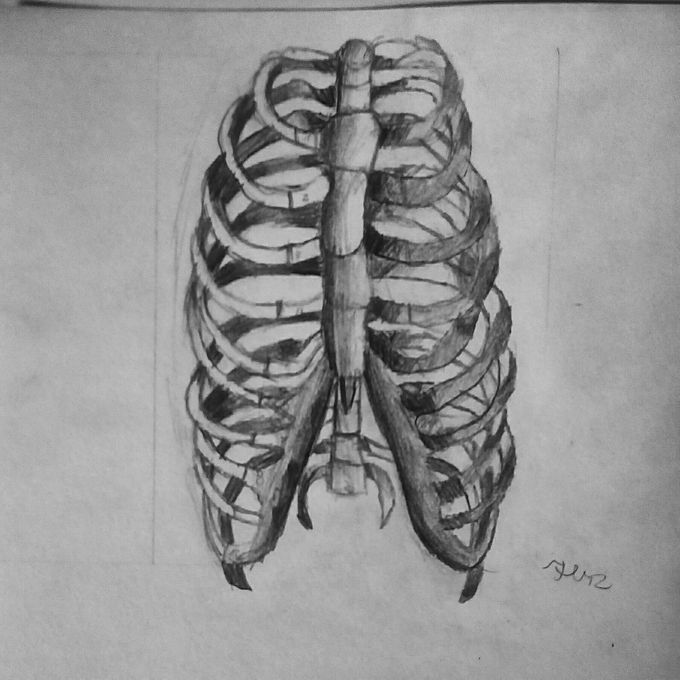 Ribs - MEDizzy