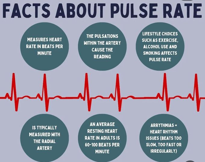 Pulse Rate I