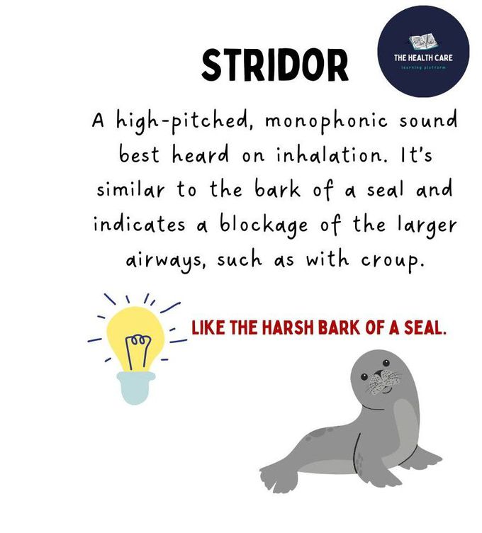 Stridor