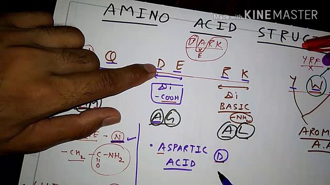 How to remember Amino Acid structure,PART- 1/2