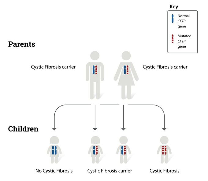 Causes of Cystic fibrosis
