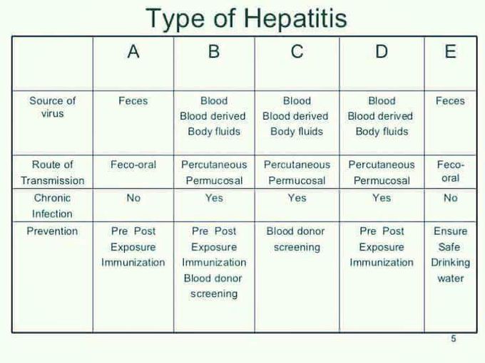 Types of Hepatitis