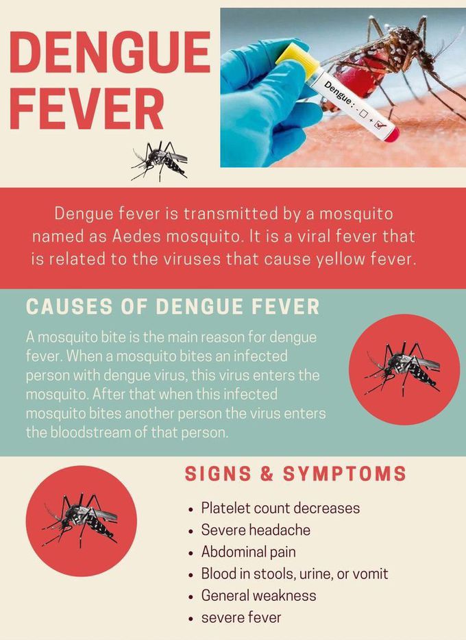 Dengue Fever