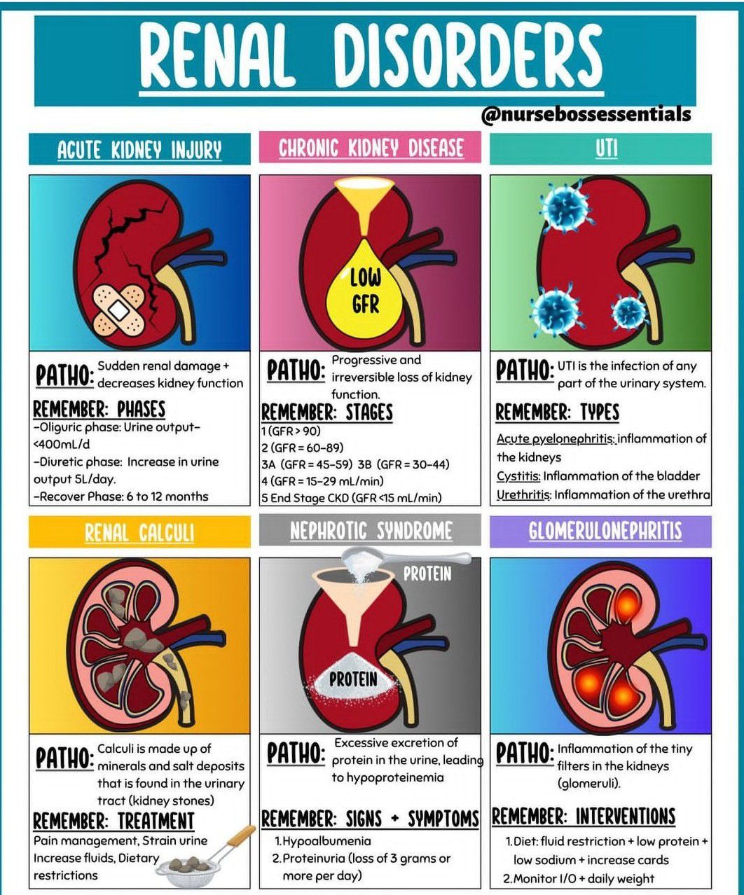 Renal Disorders - MEDizzy