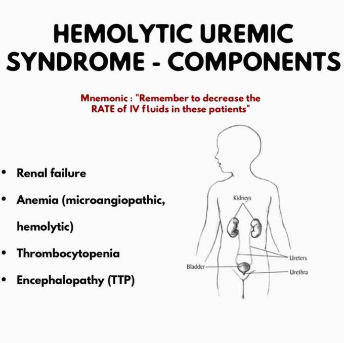 Components of Hemolytic Uremic Syndrome