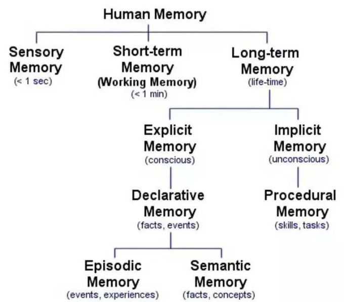 Human Memory