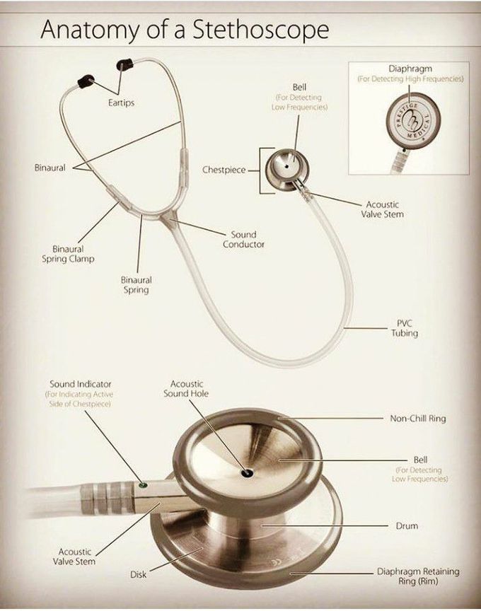 Anatomy of a Stethoscope: Everything You Need to Know 