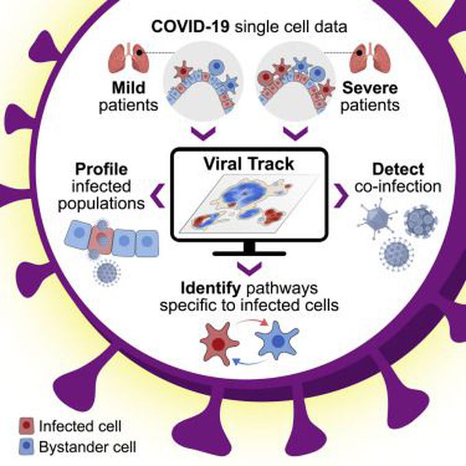 Types of Viral Infections