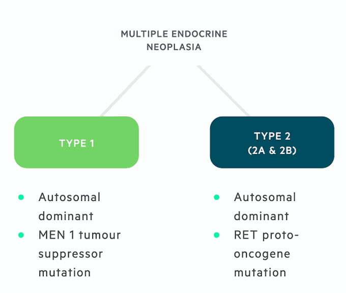 Multiple Endocrine Neoplasia (MEN) Syndrome