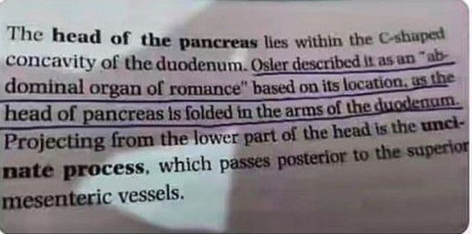 Even pancreas has a secret love story😂😂😂