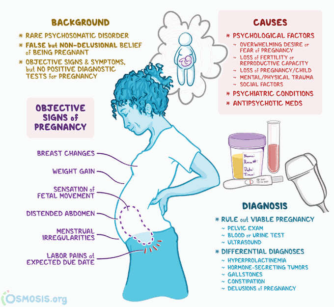 Phantom Pregnancy MEDizzy