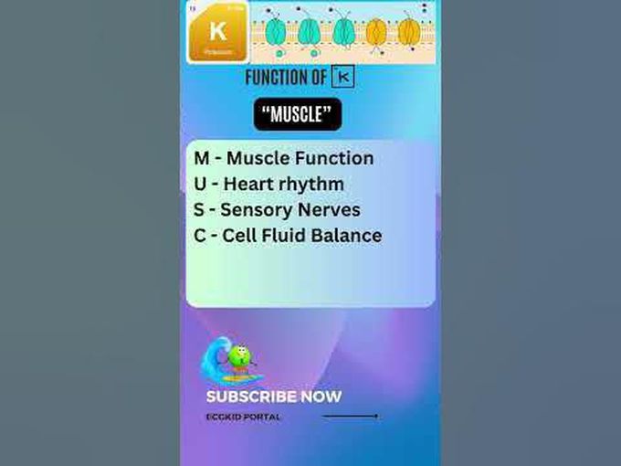 Easy way to remember function of potassium in our body #icu #ecg #emergencymedicine #hypokalemia