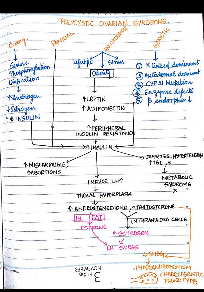 Polycystic Ovarian Syndrome