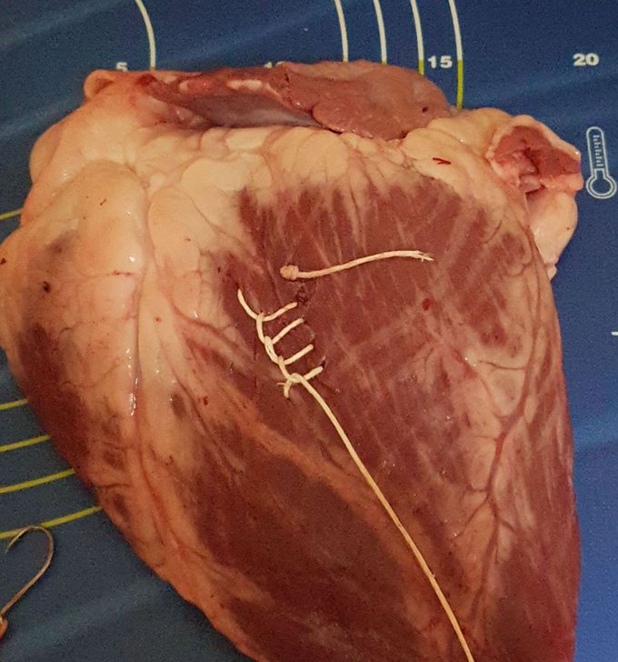 Stitches on a cow heart mase by me