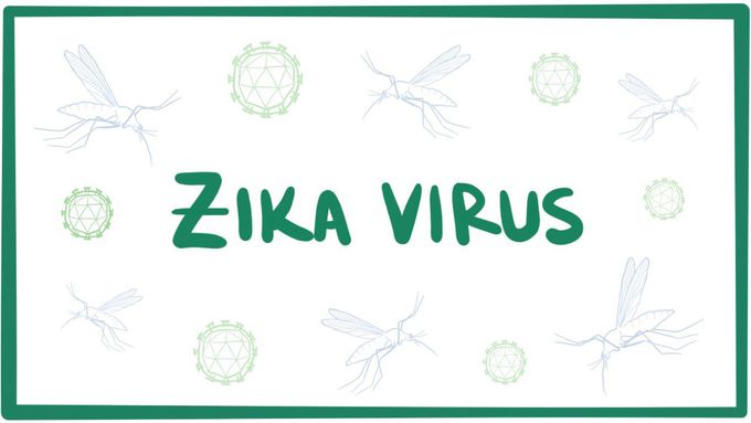 Zika virus - causes, outbreak, symptoms & pathology