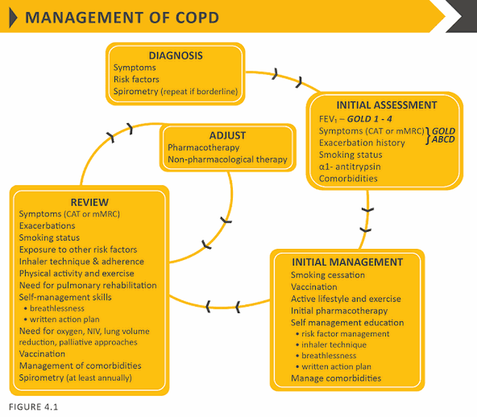 Management of COPD