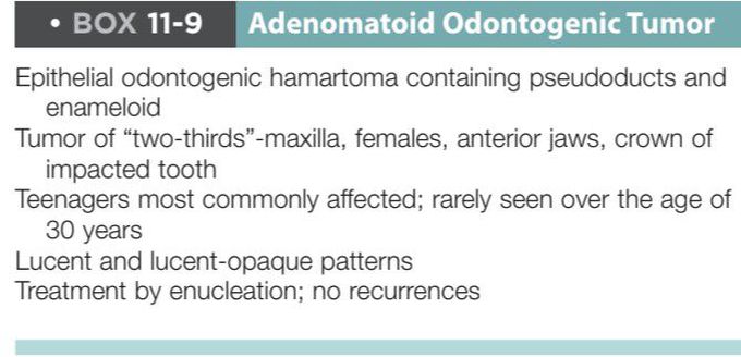 Adenomatoid odontogenic tumor