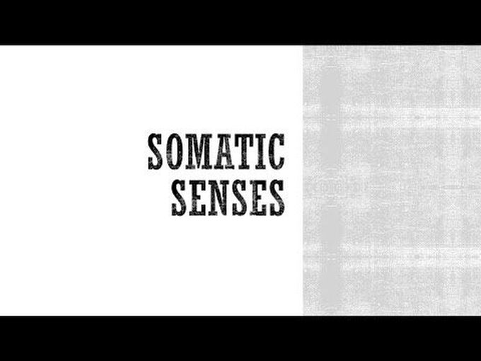 Somatic Sensations: 
Tactile and Position Senses