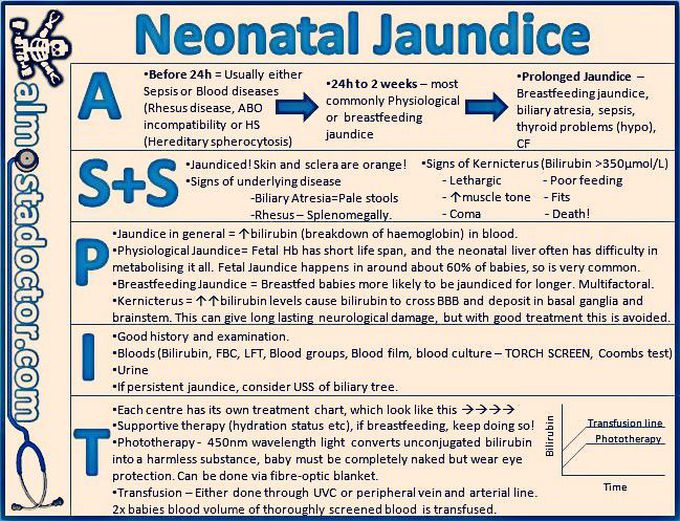Neonatal jaundice